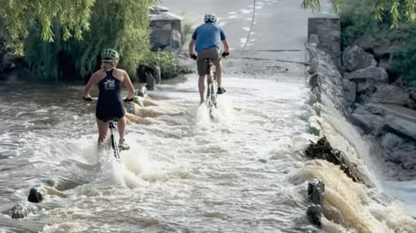 Bizarre reddingsactie: Wielrenster (20) gereanimeerd die onder water vast komt te zitten