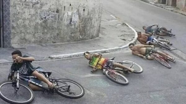 Picdump (4734)