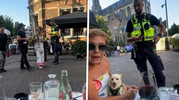 Geen genade! Handhaving Haarlem deelt boete uit voor piepklein hondje op terras