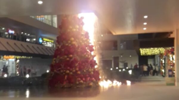 Er zijn makkelijkere manieren om van je kerstboom af te komen