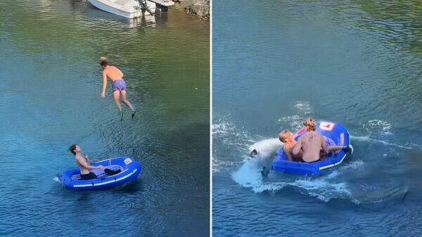 Waaghals slingert met rope swing vanaf brug rechtstreeks een rubberbootje in