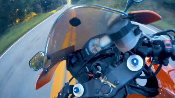 Motorrijder knalt op het asfalt als Bambi hem omverkegelt