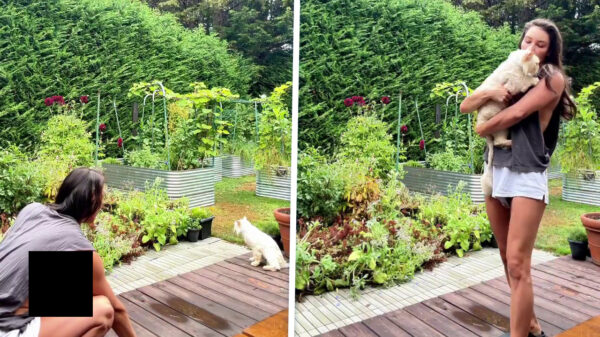 Luchtig geklede kattenvrouw showt trots haar netjes geschoren poes