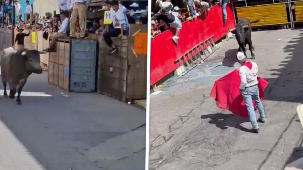 Twee doden bij stierenloopfestival in Mexico na gewelddadige taferelen