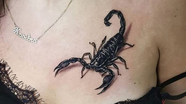 Liefhebbers van tatoeages komen weer volledig aan hun trekken (144)