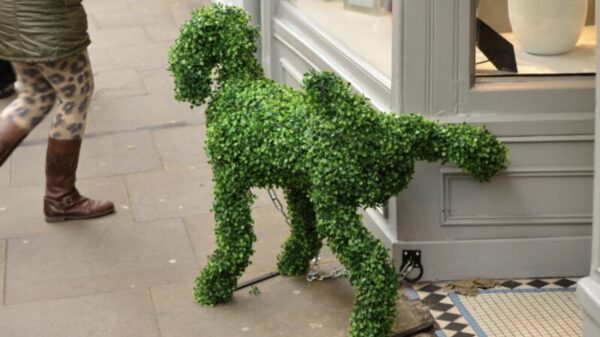 Picdump (4753)