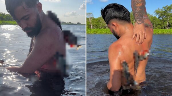Frisse duik in de rivier eindigt ineens met een complete rug vol piranha’s