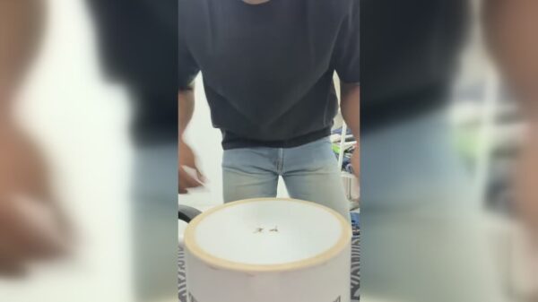 Muggen met hun eigen recept terugpakken