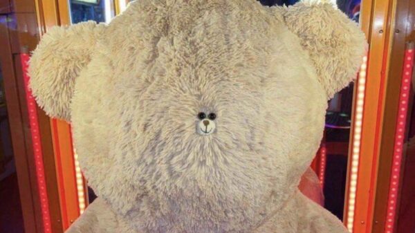 Picdump (4761)