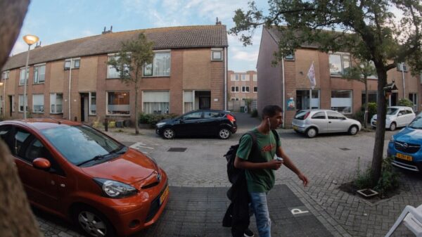 Zoekzoek: Mafklapper in IJmuiden mishandelt een kat uit het niets