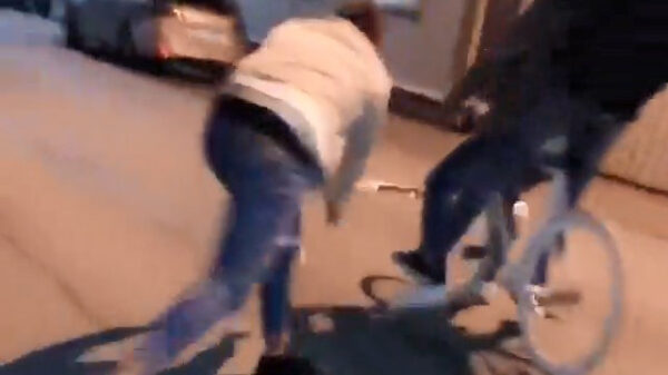 Een stok in een voorwiel duwen zorgt voor lachende hyena's