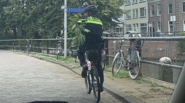 Picdump (4763)