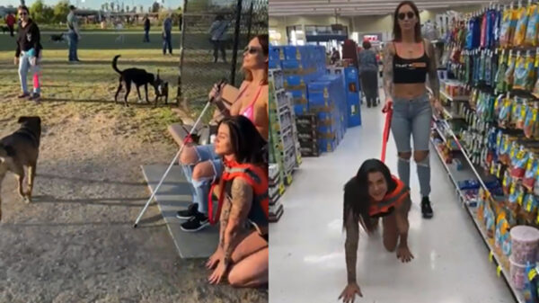 Mijn nieuwe blindengeleidehond bevalt uit-ste-kend!