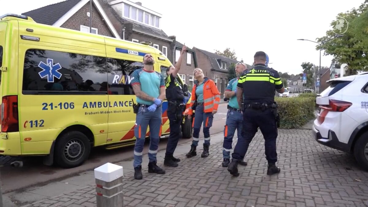 Man springt 9 meter uit hoogwerker na aanval door Aziatische hoornaars