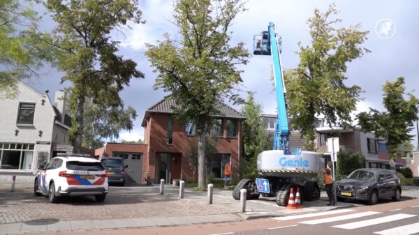 Man springt 9 meter uit hoogwerker na aanval door Aziatische hoornaars