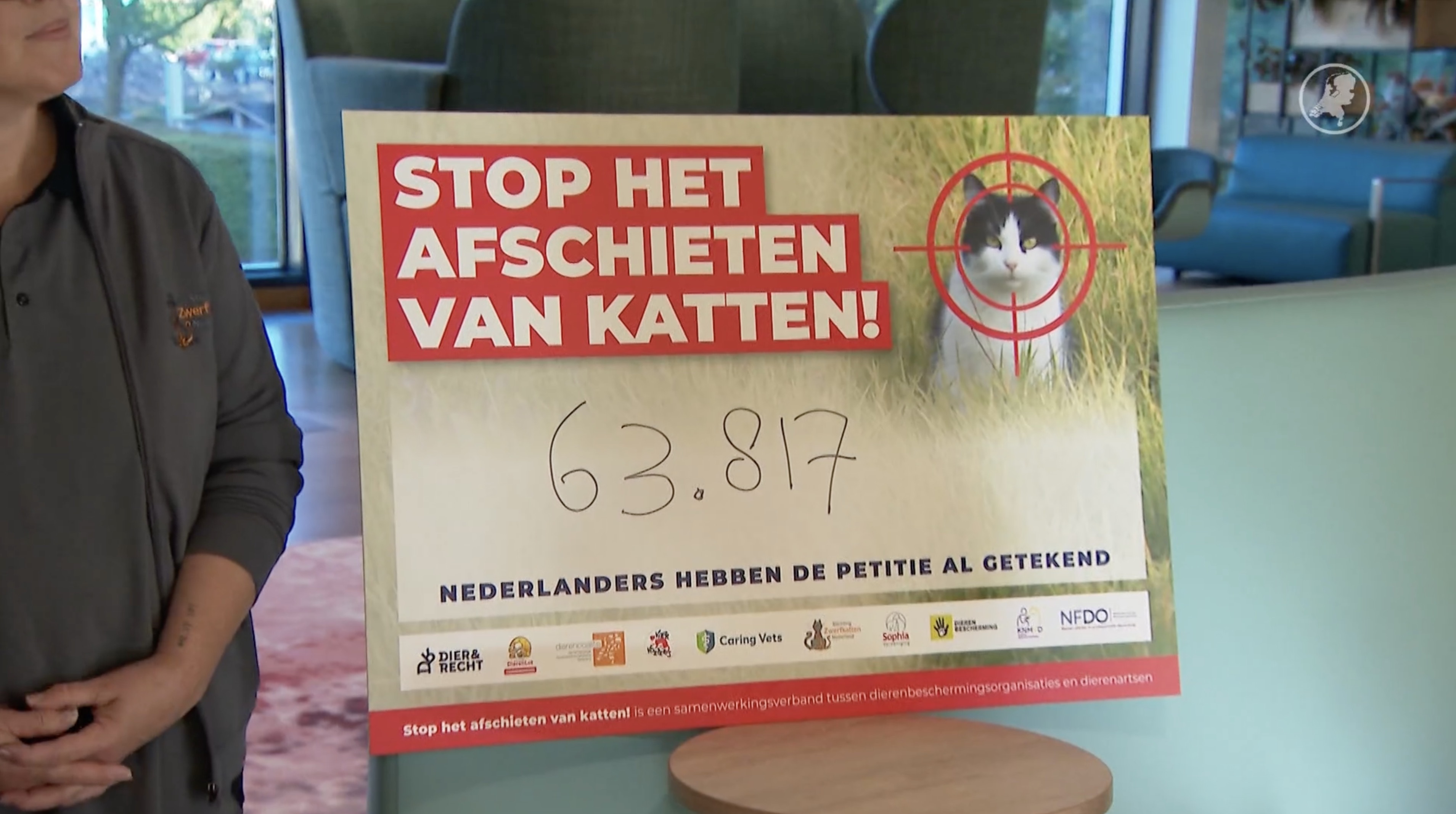 Al 700 zwerfkatten afgeschoten, dierenorganisaties starten petitie