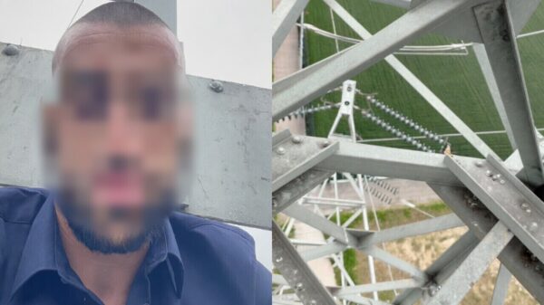 Wanhopige man overleden na sprong van een hoogspanningsmast in Beek