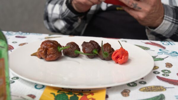 Pepereters gaat maximaal kapot tijdens de 'Hete Eet Wedstrijd'