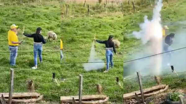 Als je je nichtje vraagt of zij de vuurpijl even wil vasthouden