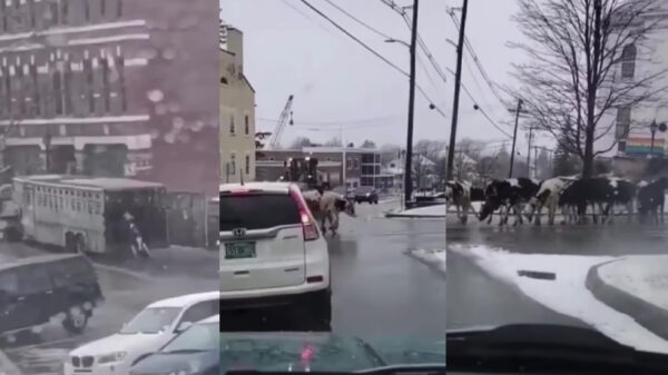 Zeg vriend, volgens mij vergeet je iets...