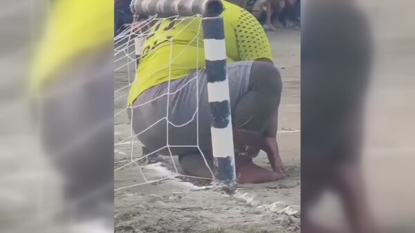 De perfecte keeper gevonden