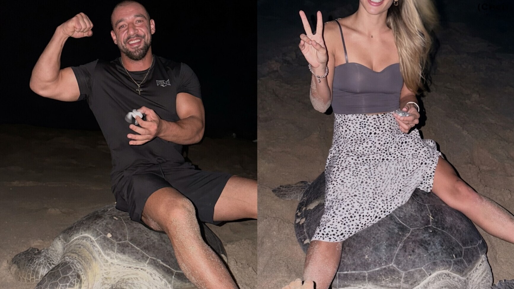 Woede om influencer op schildpad: "Hij houdt zelfs een babyschildpad vast"