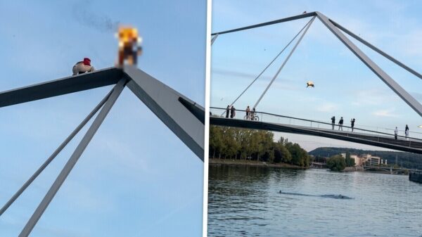 Brandend man springt van 23 meter hoge brug in Luik, politie onderzoekt stunt