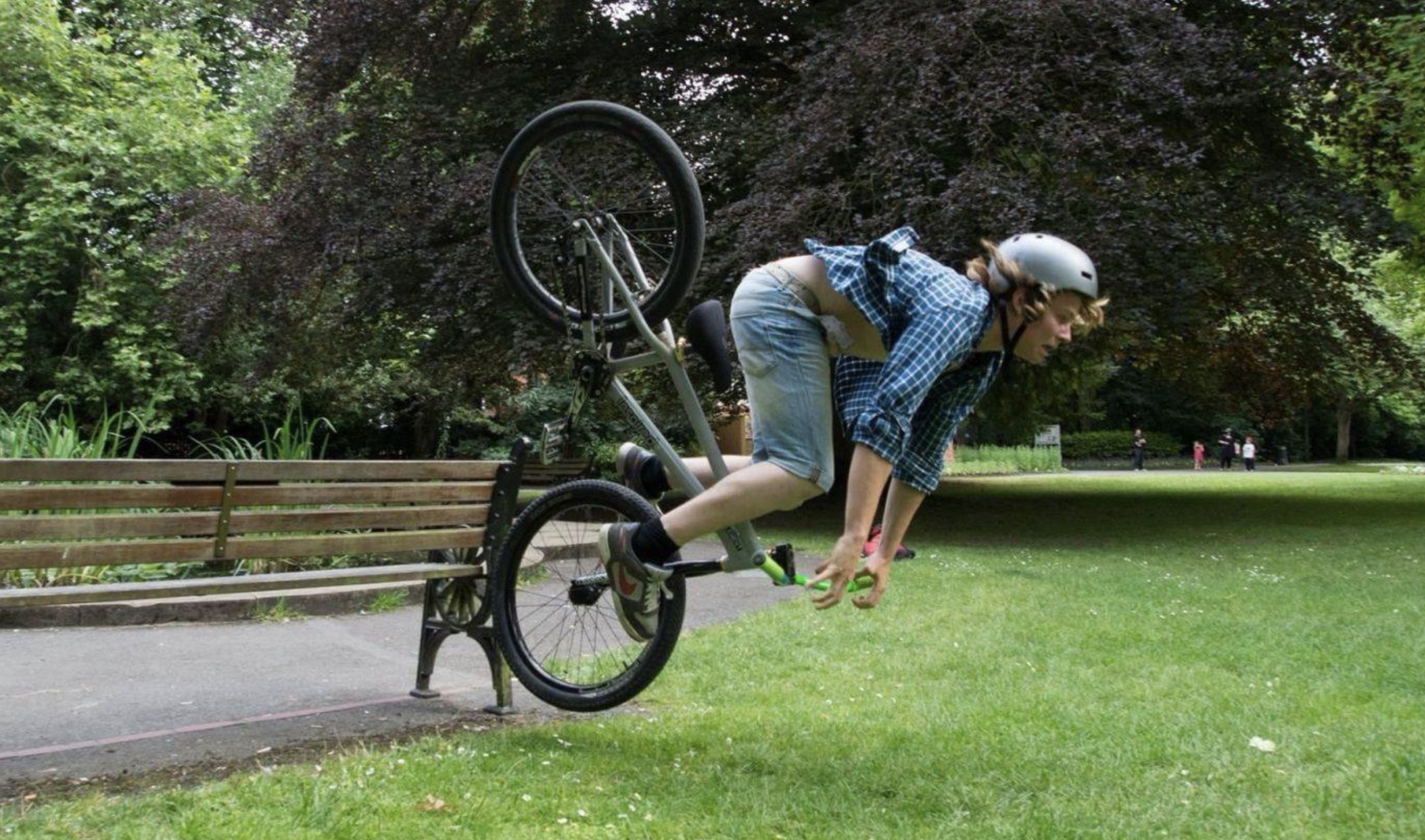 Picdump (4781)