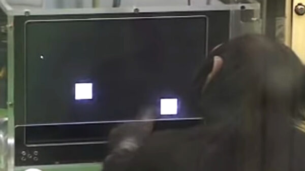 Chimpansees blijken over een belachelijk goed geheugen te beschikken