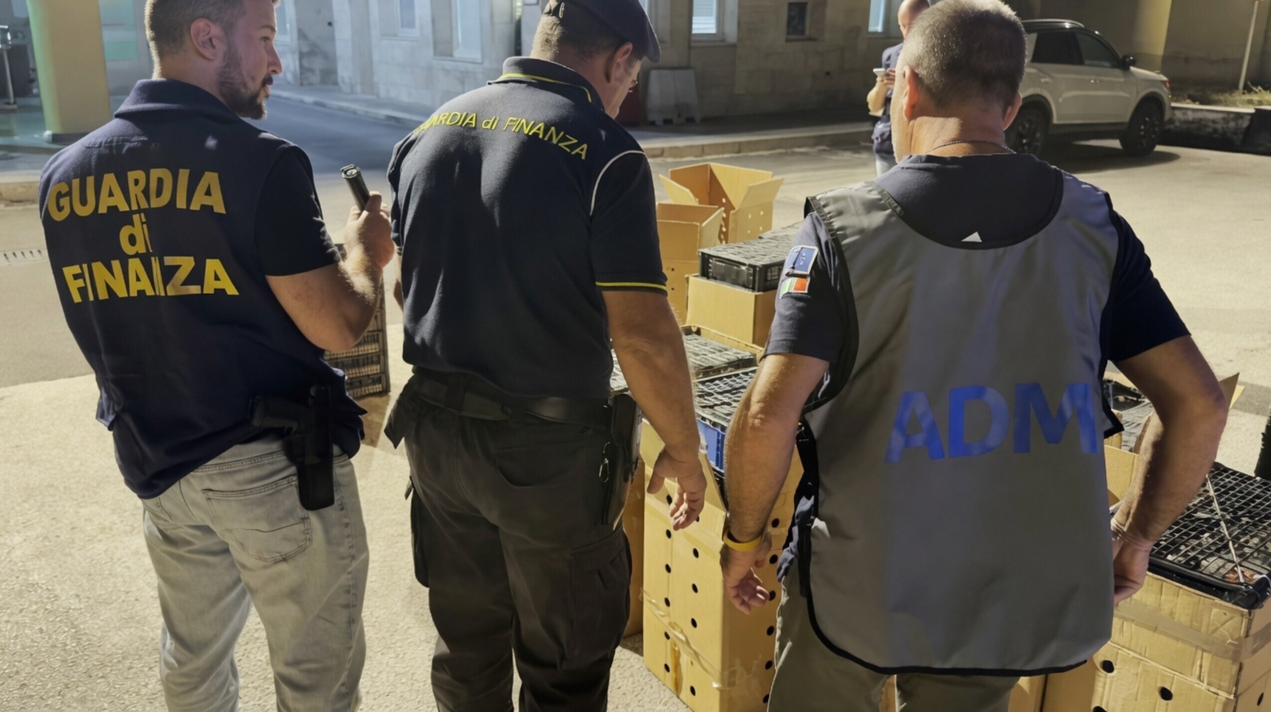 Italiaanse politie doet een exotische ontdekking achterin iemands auto