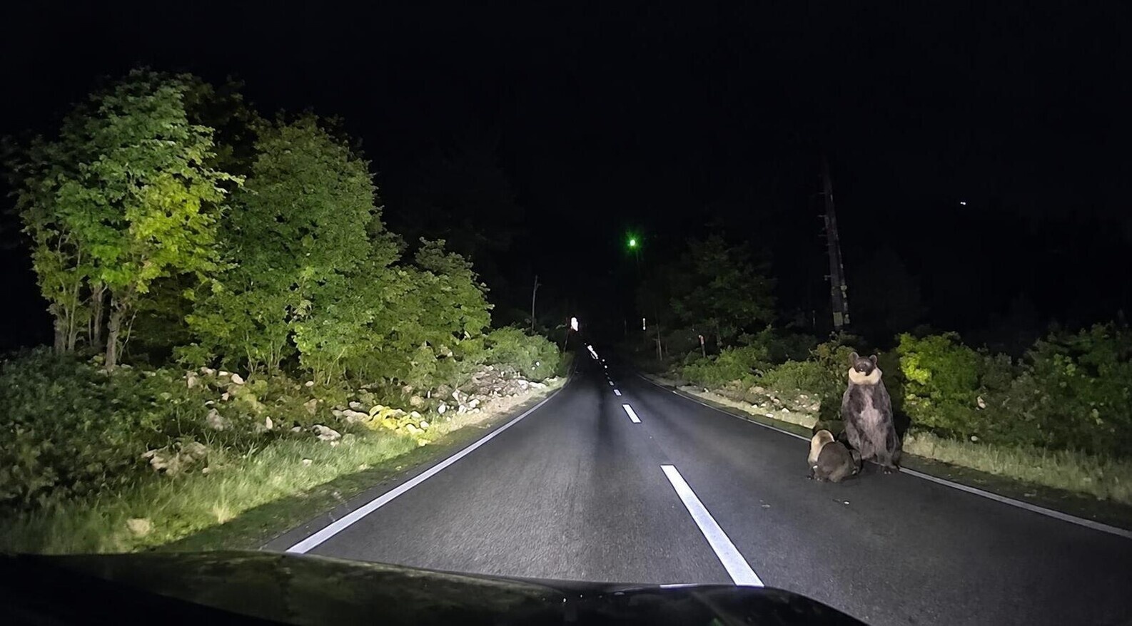 Moederbeer gaat tekeer op motorkap van een Japanse vrouw