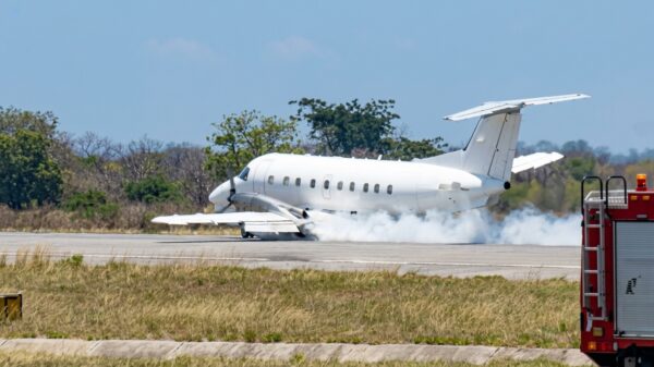 Vliegtuig klapt op zebra bij opstijgen en maakt buiklanding in Tanzania