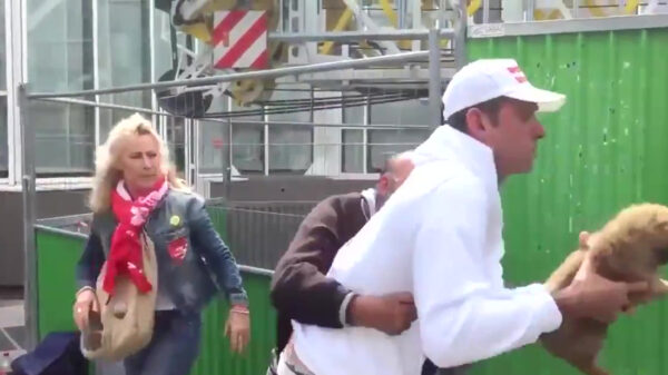 Sneue actie: dierenactivisten pakken puppy af van dakloze man in Parijs