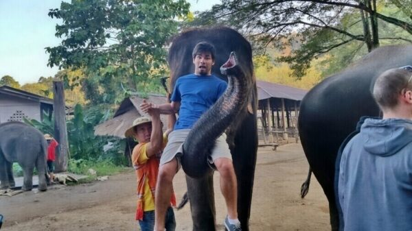 Picdump (4791)