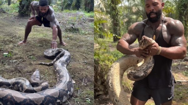 Dieren-influencer ImTarzan overleeft bizar gevecht met gigantische anaconda
