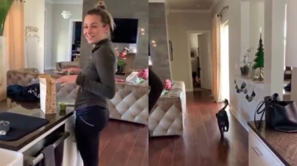 Jongedame raakt naar eigen zeggen behoorlijk stoned van de hondenkoekjes