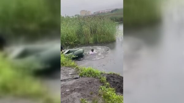 Wedden dat je er niet in kan springen