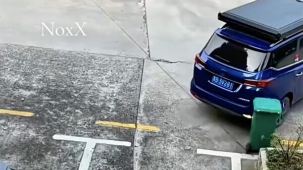 Parkeerkneus vs container