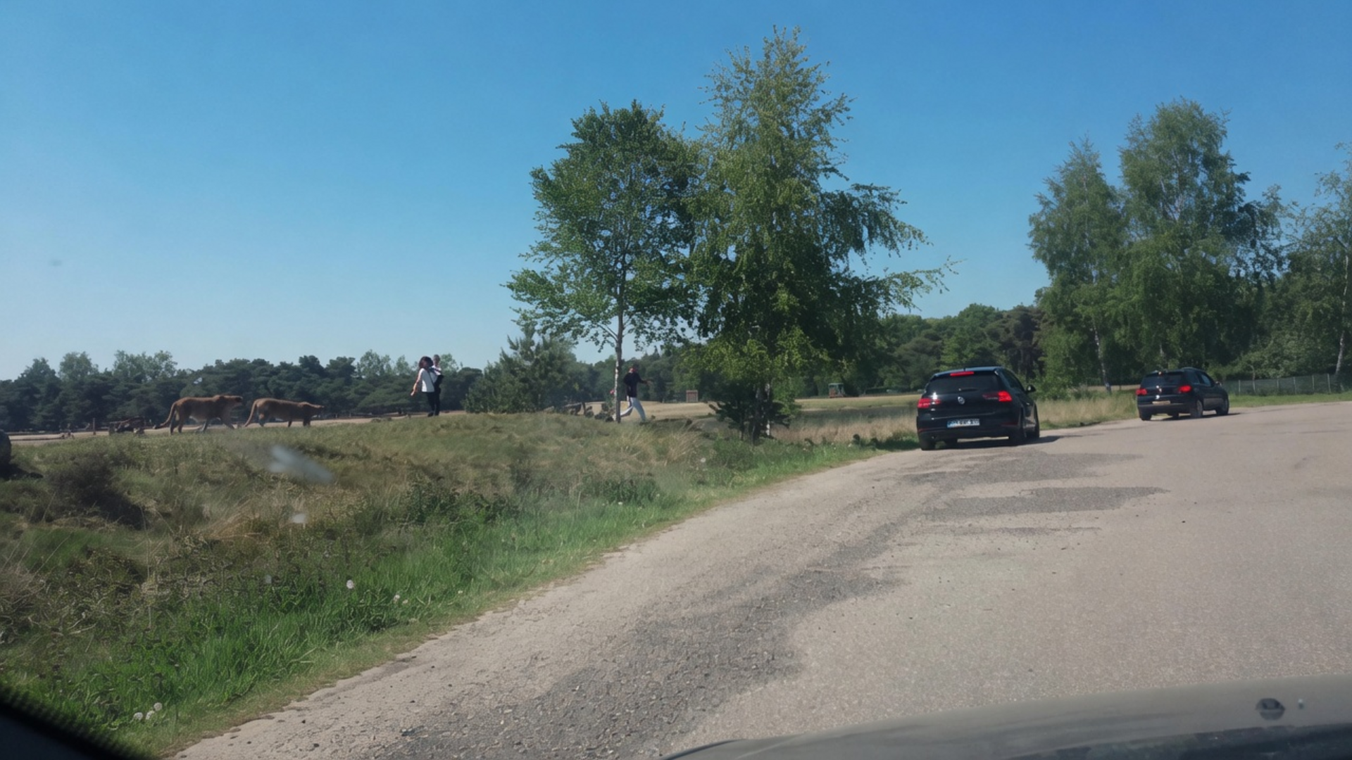 Die keer dat een Frans gezin tussen de jachtluipaarden uit de auto stapte