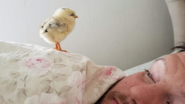 Picdump (4810)