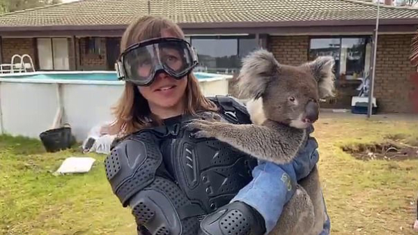 ITV-reporter Debi Edward mag even een "levensgevaarlijke" koala vasthouden
