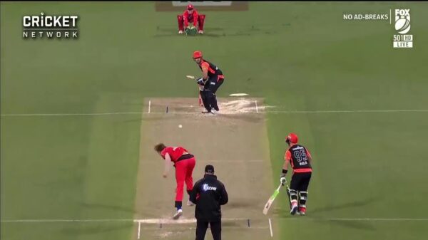 Cricketspeler krijgt bal in volle vaart in zijn zak