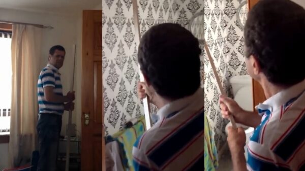 Held op sokken schijt in zijn broek als hij een spinnetje moet verjagen