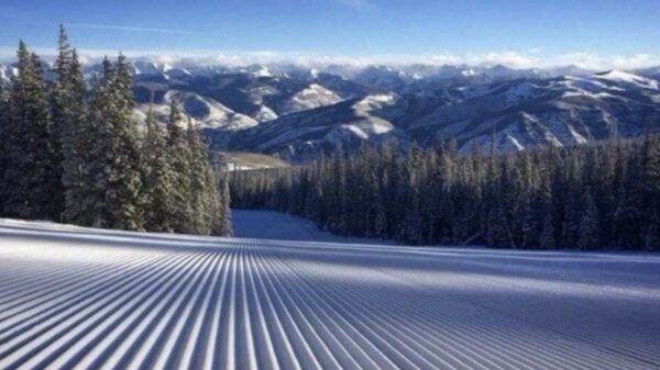 Even bijkomen met deze 33 heerlijke OCD-pics!