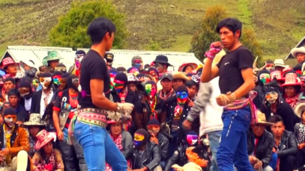 Aan de Peruaanse vechtsportkampioenschappen kan de UFC nog een puntje zuigen