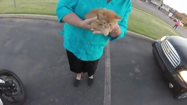 Vrouwelijke biker redt poesje van een kruising