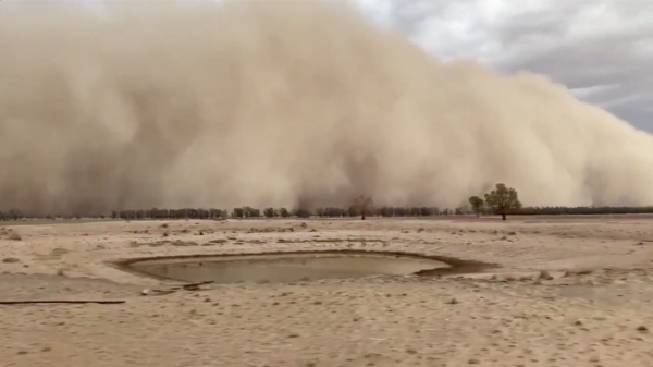 Naast enorme bosbranden wordt Australië nu ook door een zandstorm des doods getroffen