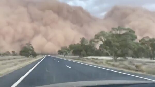 Naast enorme bosbranden wordt Australië nu ook door een zandstorm des doods getroffen