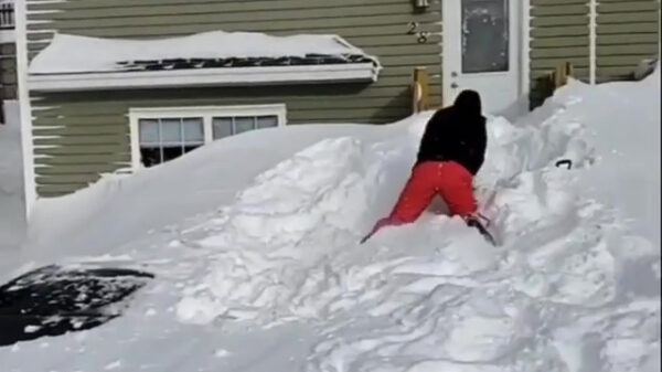 Oké, wie gaat er even sneeuwruimen?