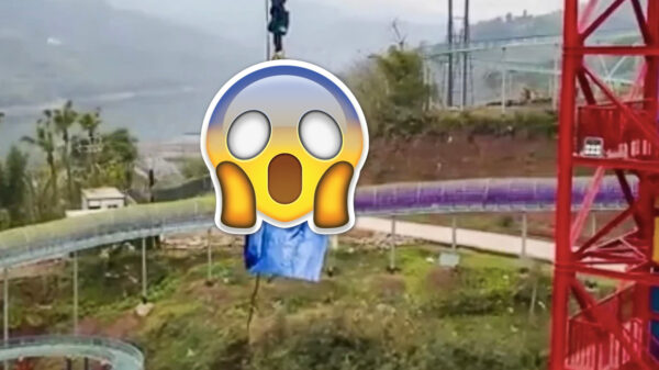 Bizar: opening van Chinees pretpark wordt gevierd door varken van bungeeplatform te gooien